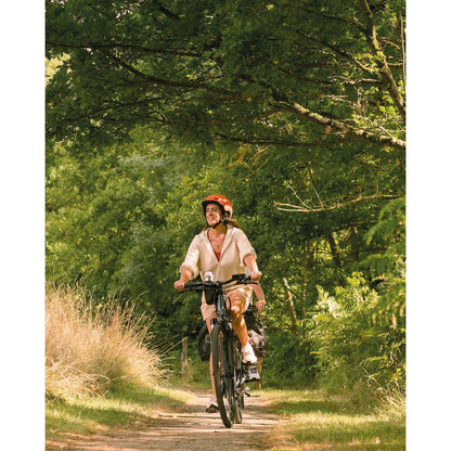 Vélo tout chemin électrique - cadre haut - Riverside 520 E gris